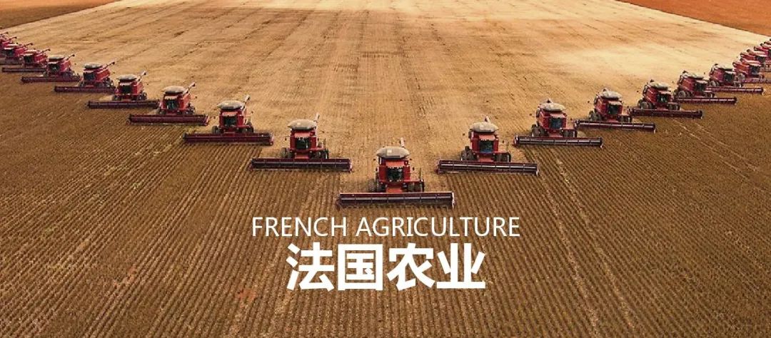 法国农业：欧盟农业大国，靠这6大战略制胜市场